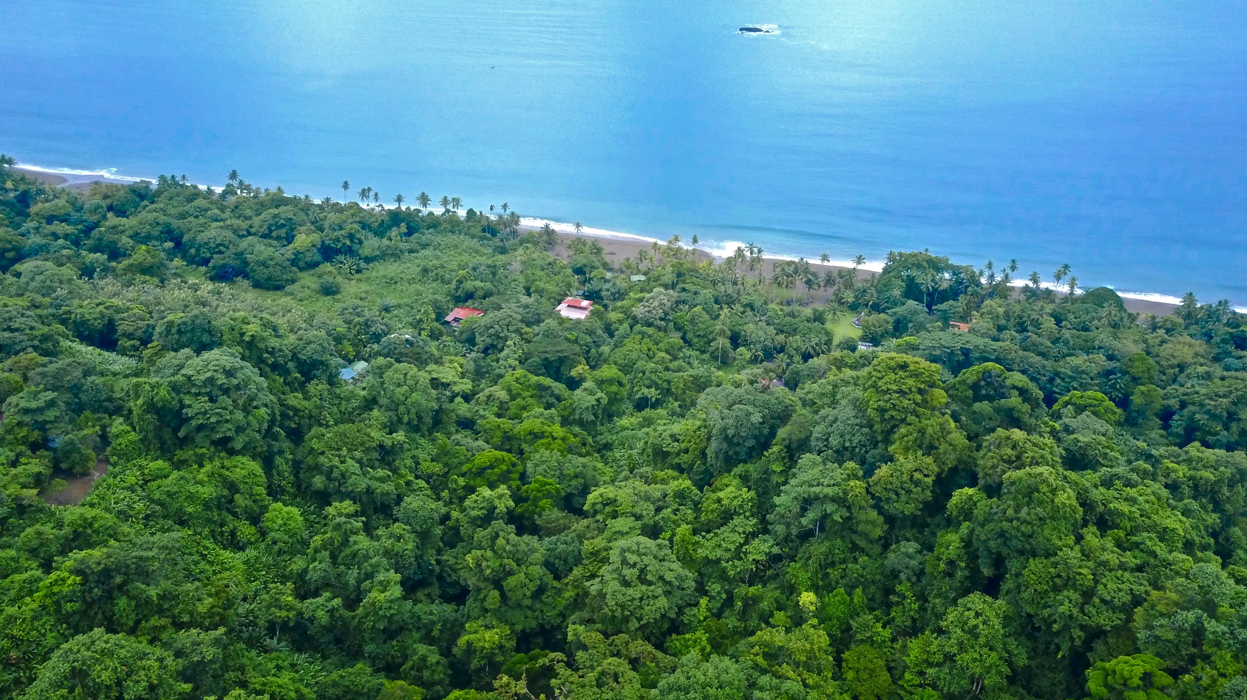 The Rainforest Ocean Setting - Ocean Forest Ecolodge