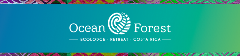 OCEAN FOREST ECOLODGE RETREAT CENTRE, COSTA RICA/DRAKE BAY: 250